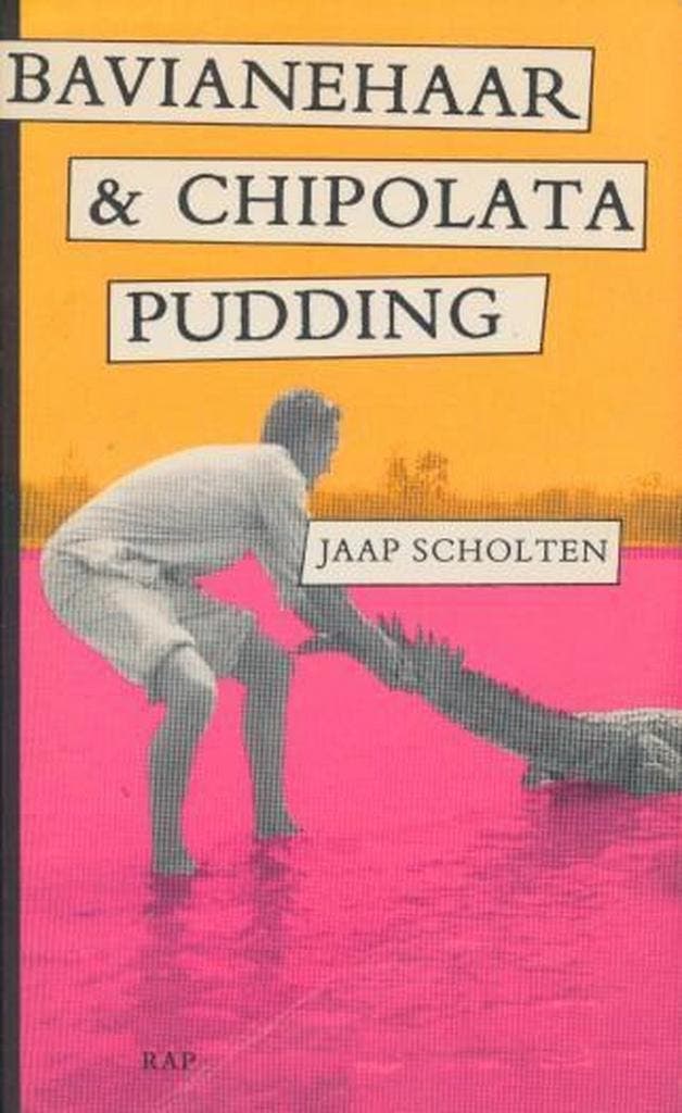 Bavianehaar en chipolatapudding 9789060053355 J. Scholten, Boeken, Romans, Gelezen, Verzenden