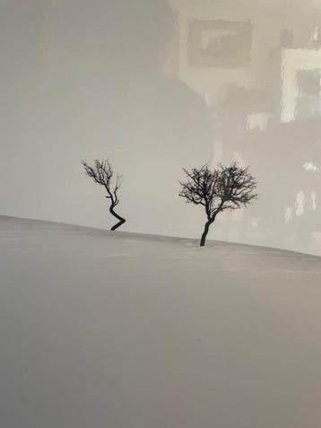 Ebru Sidar - Degenerate