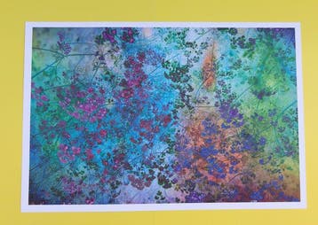 Viet Ha Tran - Shades of Dreams I