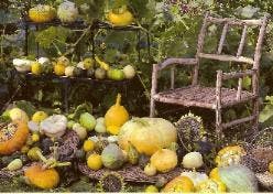 Kaart U 1504, Diversen, Wenskaarten, Nieuw