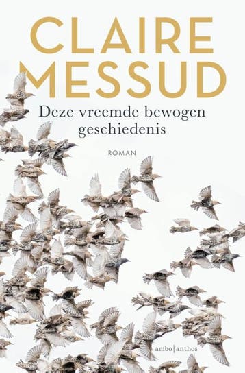 Deze Vreemde Bewogen Geschiedenis | Claire Messud | Nieuw, Verzenden, Nieuw, Claire Messud