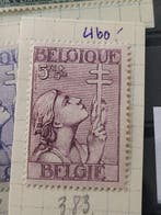 Belgique - collection en feuilles et en classeur à anneaux;