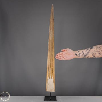 Exclusief Marlin-Rostrum op standaard – een indrukwekkend