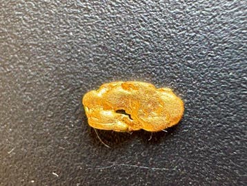 Goud Goud nuggets- 0.11 g - (1), Verzamelen