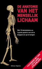 De anatomie van het menselijk lichaam 9789048312627, Verzenden, Gelezen, Roland Muhlbauer