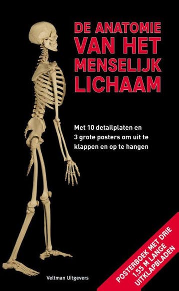 De anatomie van het menselijk lichaam 9789048312627, Verzenden, Gelezen, Roland Muhlbauer