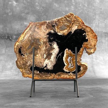 C-Stunning grande tranche de bois pétrifié sur un socle