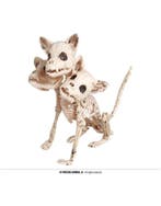 skelet hond 3 koppen 34 cm, Ophalen of Verzenden, Nieuw