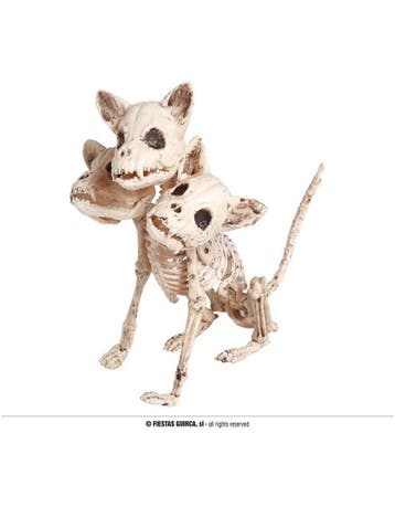skelet hond 3 koppen 34 cm, Ophalen of Verzenden, Nieuw