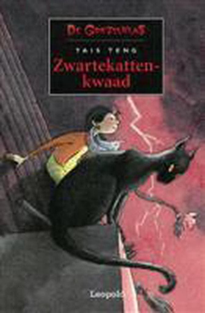 Zwartekattenkwaad / De griezelklas 9789025834814 Tais Teng, Boeken, Kinderboeken | Jeugd | 13 jaar en ouder, Zo goed als nieuw
