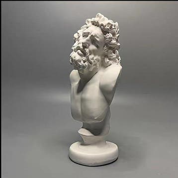 Beeldje - Bearded male bust - Gips