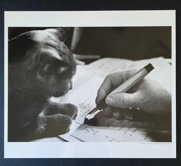 Robert Doisneau et Walter Limot - Sipa - 3 tirages rares de
