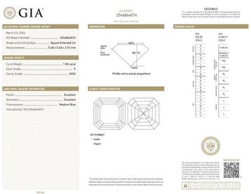 Ring - 18 karaat Witgoud - 1.80ct. tw. Diamant (Natuurlijk)