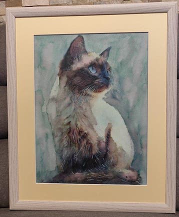 Davor Ivkovi (1965) - Cat