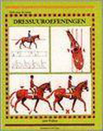 Dressuuroefeningen / Gids voor de jonge ruiter 9789038407845, Verzenden, J. Wallace