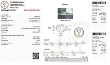 1 pcs Diamant (Couleur naturelle) - 0.70 ct - Rond - Fancy, Nieuw