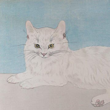 White Persian Cat - Color Woodblock Print - 1930s -