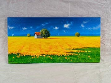 Roberto Mauri (1977) - Campo di Papaveri al Mare, Antiek en Kunst