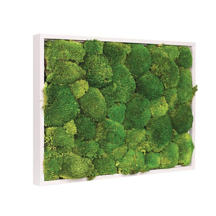 Mosschilderij Bolmos 70x100 cm Gebroken Wit, Huis en Inrichting, Woonaccessoires | Lijsten, Verzenden