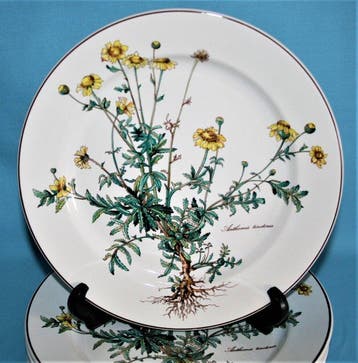 Villeroy & Boch - 24cm - Assiette à dîner (6) - Botanica -
