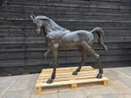Beeld, XL Bronze: Horse - 104 cm - Brons - 2026