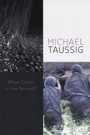What Color Is the Sacred? 9780226790060 Michael Taussig, Verzenden, Michael Taussig