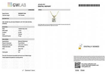 Zonder minimumprijs - Ketting met hanger - 14 karaat Geel