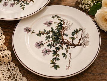 Villeroy & Boch - Assiette (6) - Botanica - Porcelaine