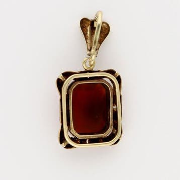 Hanger - 14 karaat Geel goud Carneool
