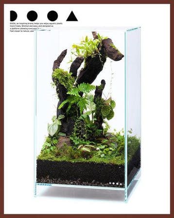 DOOA Neo Glass AIR, Dieren en Toebehoren, Verzenden, Nieuw
