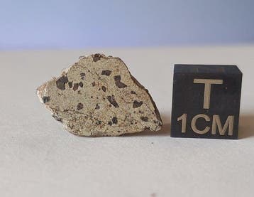Tarkint 001, meteoriet van Mars (shergottiet) Meteoriet Mars, Verzamelen, Mineralen en Fossielen