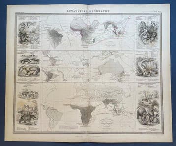Zoological Geography - Wereldgrafiek; Keith Alexander