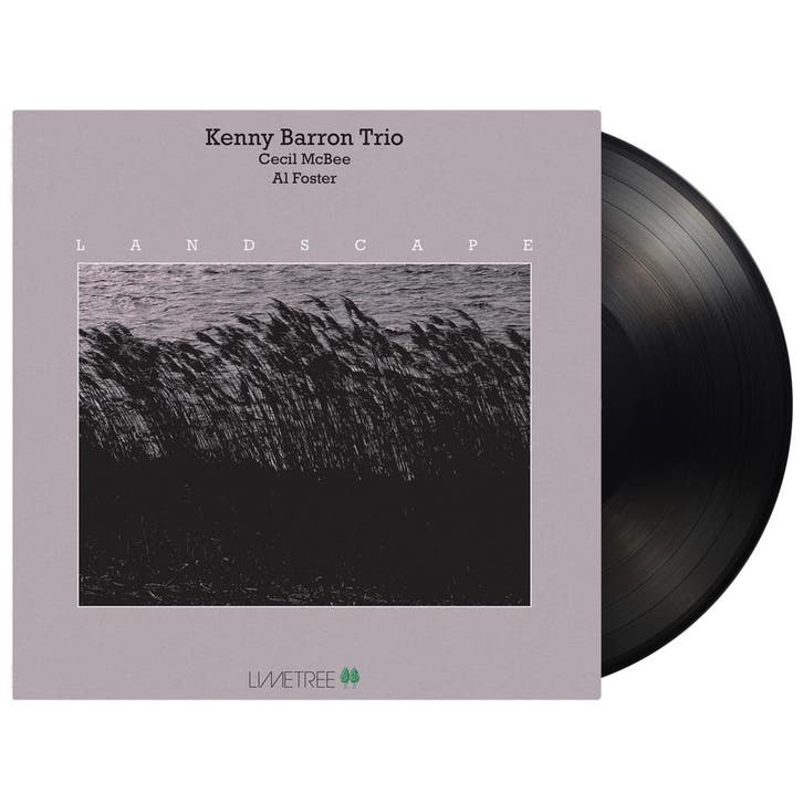 Kenny Barron Trio - Landscape, CD & DVD, Vinyles | Jazz & Blues