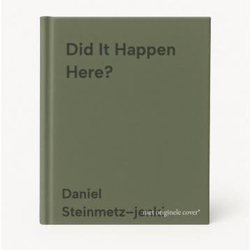 Did It Happen Here? 9781324074397 Daniel Steinmetz–jenki, Boeken, Verzenden, Zo goed als nieuw, Daniel Steinmetz–jenki