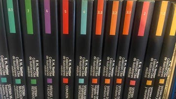 F.H. Netter - Colección Ciba de Ilustraciones Médicas -