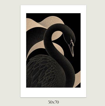 Jorge Omeñaca (1981) - Swan in the battle
