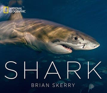 Shark 9781426219108 Brian Skerry, Verzenden, Brian Skerry