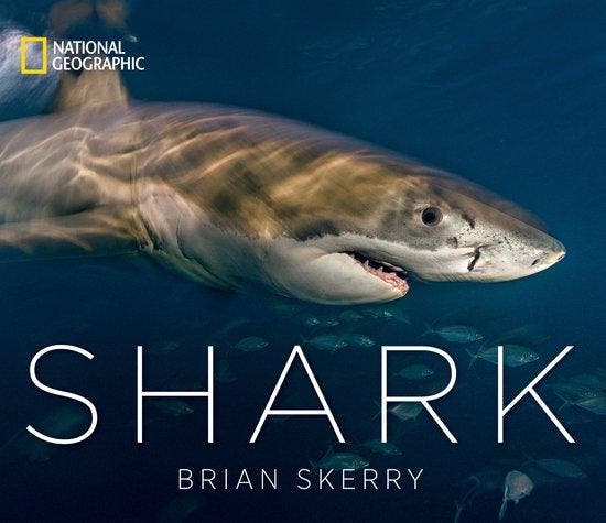Shark 9781426219108 Brian Skerry, Livres, Langue | Anglais, Envoi