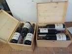 1987 Il Giorgione - Villa Fiorita - Piedmont - 12 Bouteilles, Verzamelen, Wijnen, Nieuw
