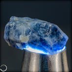 Saphir brut naturel avec des tons bleus intenses - 69,25 ct,