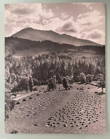 Jean Ribière (1922- 989) - La moisson en Ariege, Antiek en Kunst, Kunst | Designobjecten