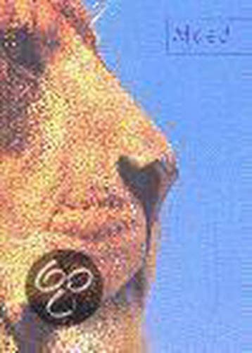 Het kleine digitale video boek 9789043006156 M. Rubin, Verzenden, Gelezen, M. Rubin