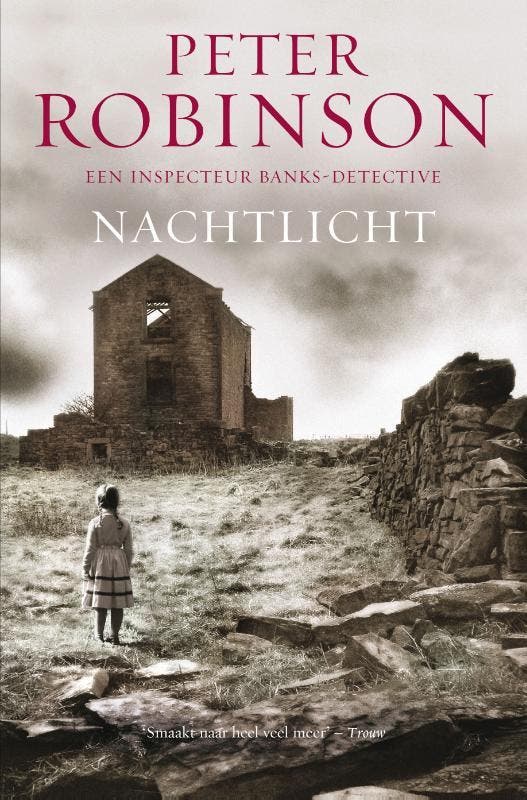 Nachtlicht / DCI Banks / 2 9789022989975 Peter Robinson, Boeken, Thrillers, Gelezen, Verzenden