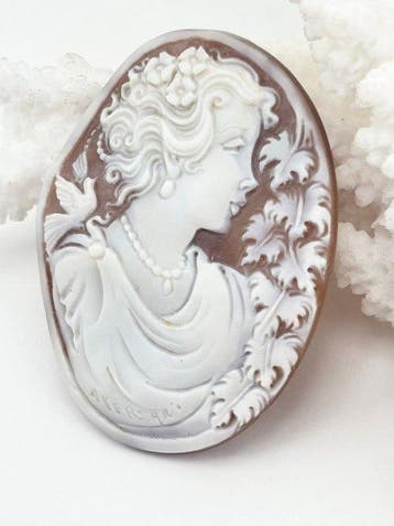 CASSIS MADAGASCARIENSIS - Cameo - Handgesneden camee