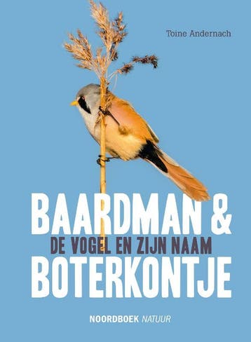 Baardman & boterkontje 9789056156930 Toine Andernach, Verzenden, Toine Andernach
