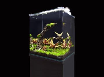 Aquatlantis Cubus Curve Essential, Verzenden, Nieuw