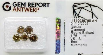 Sans prix de réserve - 5 pcs Diamant (Couleur naturelle) -, Handtassen en Accessoires, Nieuw