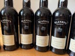 2004 Blandys Madeira 20 Years - Madeira Malmsey (Malvasia), Nieuw