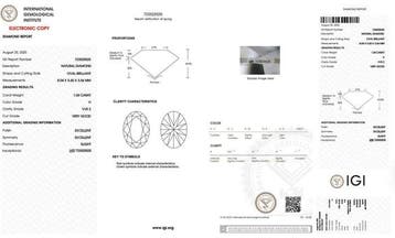 Ring - 18 karaat Witgoud - 1.31ct. tw. Diamant (Natuurlijk)