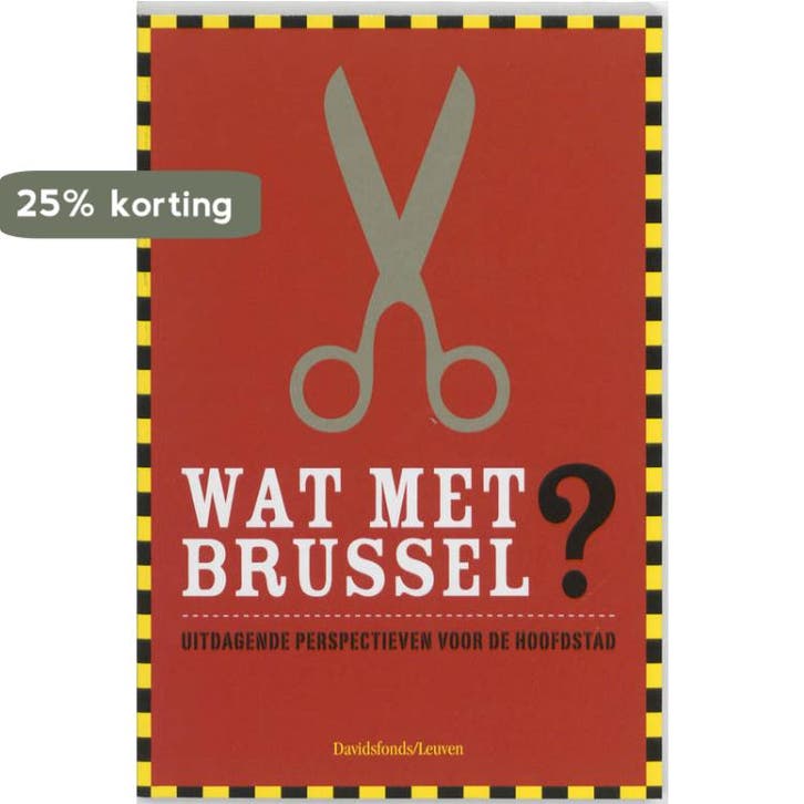Wat met Brussel? 9789058265616, Boeken, Politiek en Maatschappij, Zo goed als nieuw, Verzenden